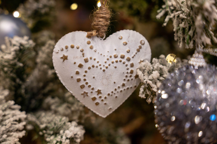 Christmas at a Photo Shoot Studio in Fort Myers