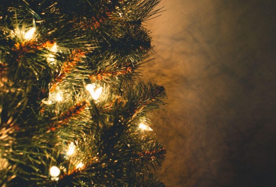 Discover the Perfect Christmas Tree
